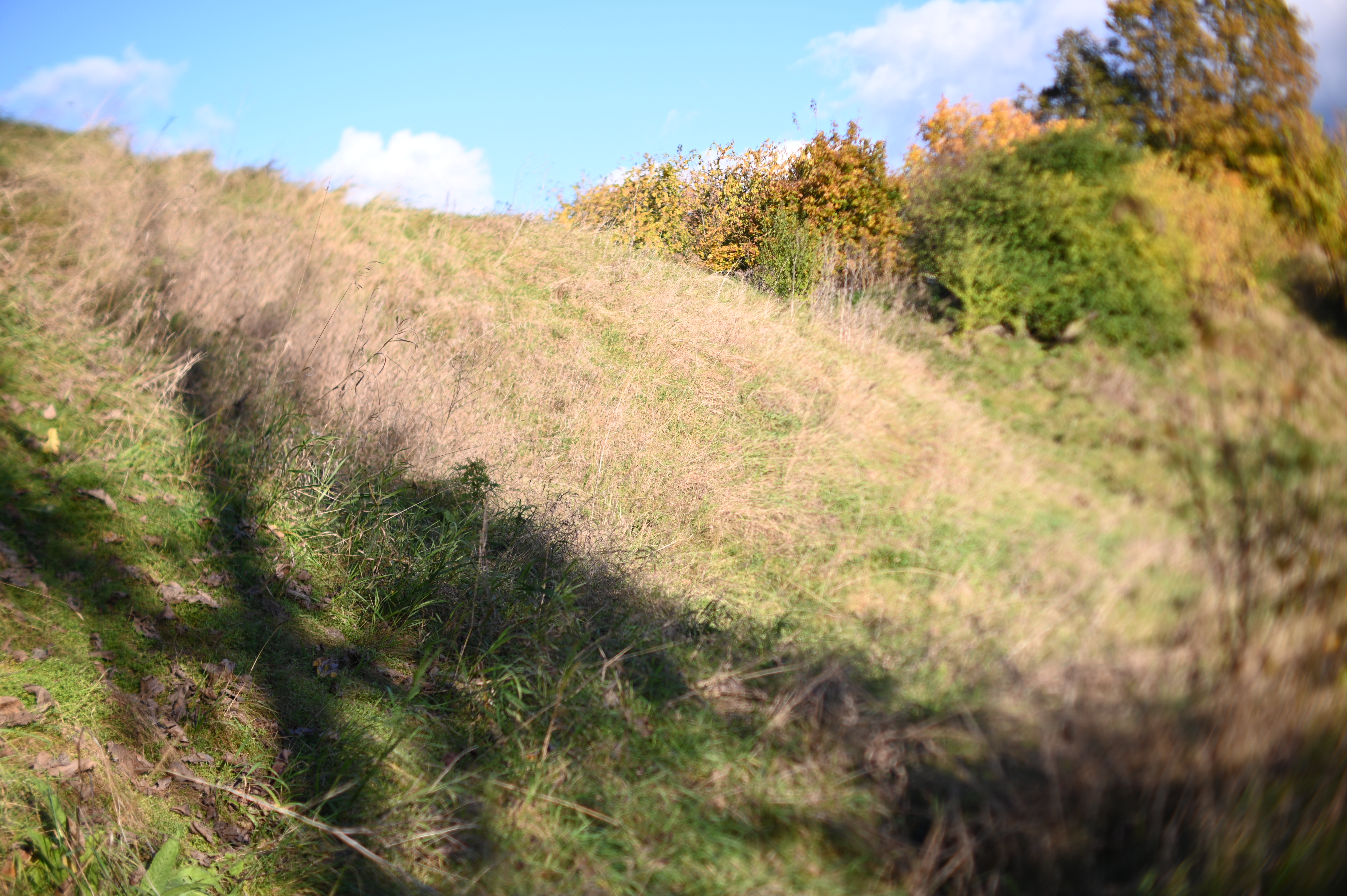 2025/10/18 - walk/DSC_0062.JPG